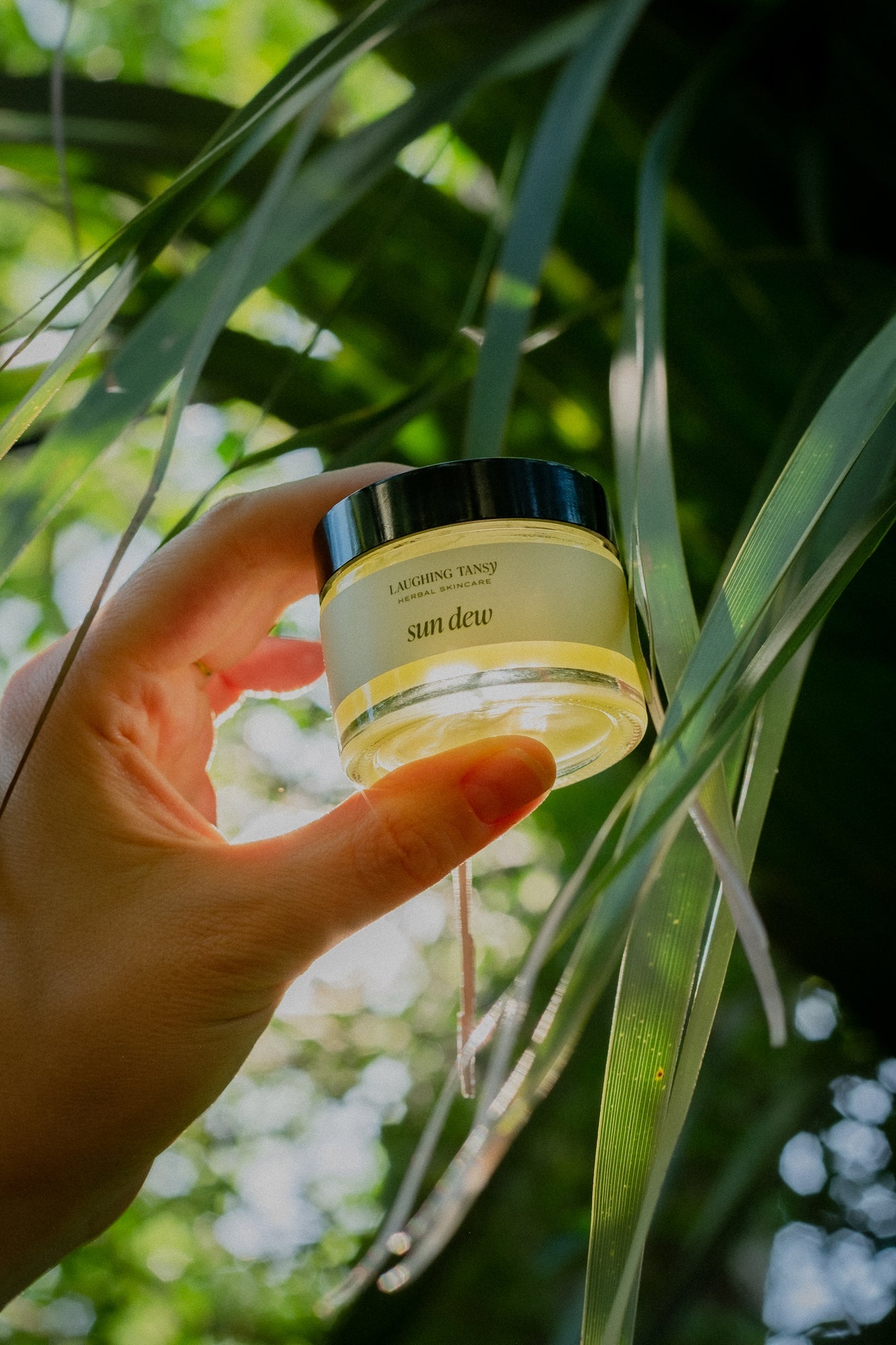 Sun Dew Waterless Moisturizer - Natural Skincare